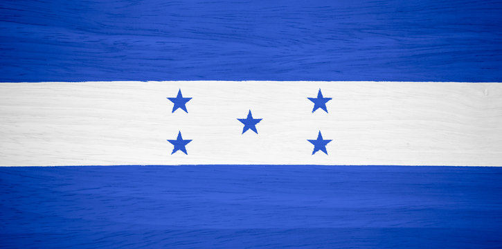 Honduras flag on wood texture