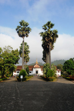 Xiengthong Temple in  Luang Prabang City at Loas