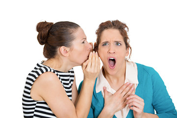 Bad rumors. Portrait of two young women gossiping