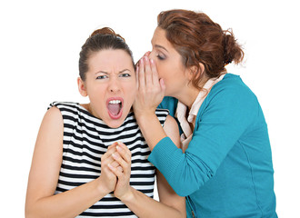 Bad rumors. Portrait of two young women gossiping