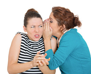 Bad rumors. Portrait of two young women gossiping