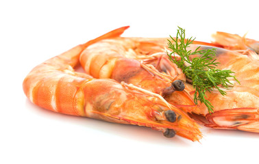 fresh shrimp isolated on a white background