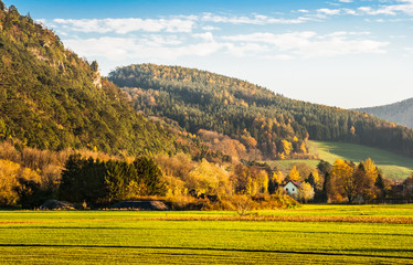 Obraz premium Mountain and Forest Landscape