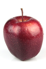 Obraz na płótnie Canvas apple