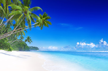 Beautiful Tropical Beach