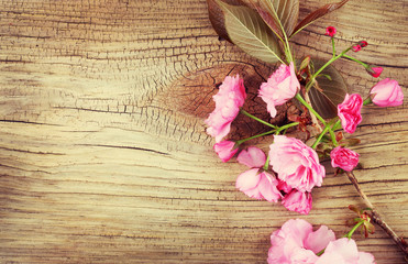Obraz na płótnie Canvas Spring Cherry Blossom on Old Wooden Background. Sakura