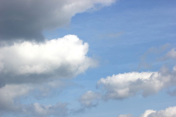 Naklejka na ściany i meble Cloudscape and blue sky