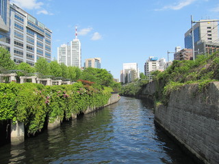 都心の神田川