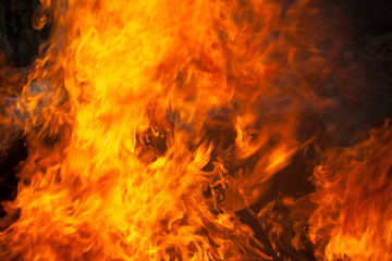 Obraz premium blaze fire flame