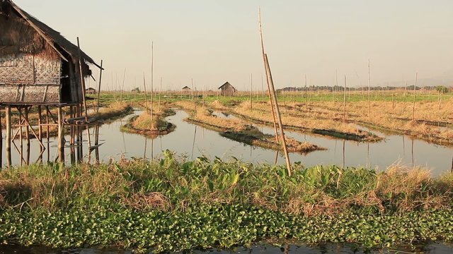 Rural house and floating gardens in Inle lake, Myanmar.
