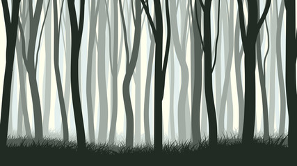 Horizontal illustration with many trunks tree.