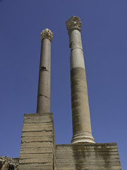 tunis