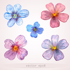 Watercolor flowers for your design.