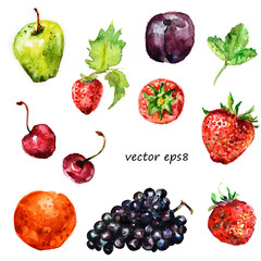 Watercolor fruit for your design.
