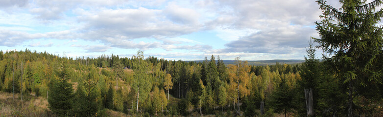 Panoramic view from a mountain in Varmland, Sweden