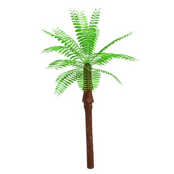 realistic 3d render of palm tree