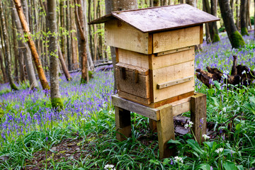 Wooden Beehive