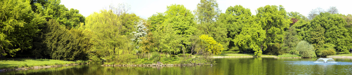 Fototapeta premium Lush forest with pond