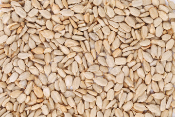 Background of sunflower seeds.