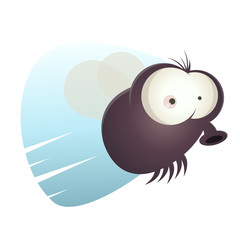 fliege cartoon lustig comic insekt