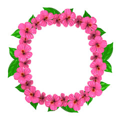 Pink Hibiscuses Frame