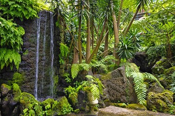 Fototapeta premium Monte hill with exotic garden, Madeira - Funchal, Portugal