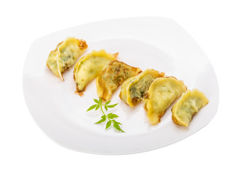 Japan dumplings - gyoza