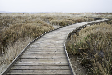 wooden path