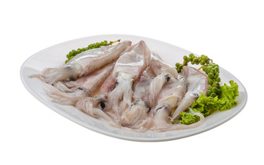 Raw calamari