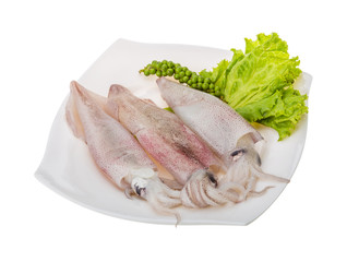Raw calamari