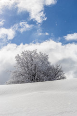 Fototapeta na wymiar Montagnes sous la neige