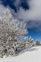 Montagnes sous la neige