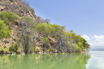 Island in Lake Baringo in Kenya.