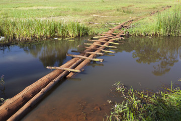 Fototapeta na wymiar Ondiri Swamp in Kikuyu, Kenya