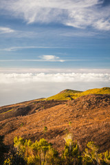 beautiful landscape with sunset in Madeira island. Portugal