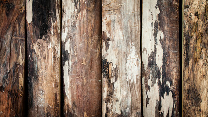 wooden Texture