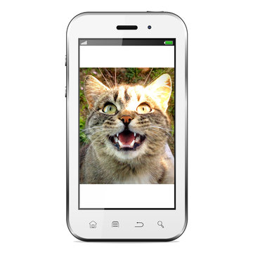Mobile phone with cat photo isolated on white background