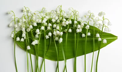 Crédence de cuisine en verre imprimé Muguet Beautiful lilies of the valley, isolated on white