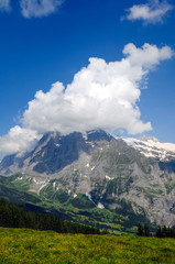 Wetterhorn, Bernese Alps, Switzerland