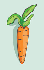 Illustration of hand drawn cartoon carrot on blue background
