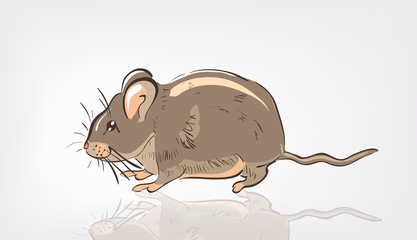 Cartoon Rat
