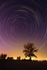 Tree background at night with startrail