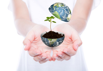 Hand hold young plant in earth isolated on  white background  (E