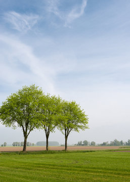 Picturesque landscape int spring season