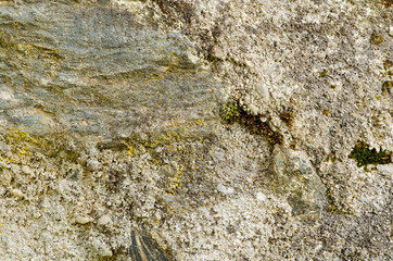 Stone texture