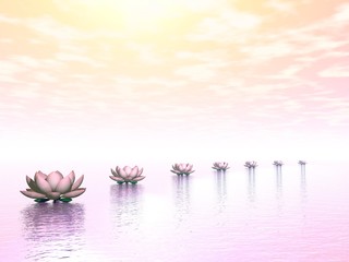 Water lilies steps to the sun - 3D render - obrazy, fototapety, plakaty