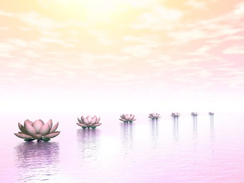 Fototapeta Water lilies steps to the sun - 3D render