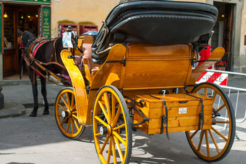 Carrozza tirata da cavallo, Pisa