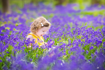 Pretty toddler girl in bluebell flowers in spring meadow
