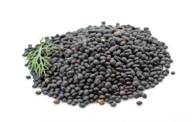 Black lentils heap